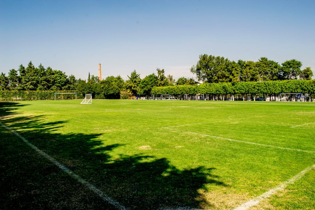 primaria contra (2) (1)